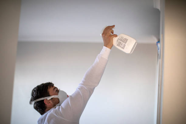 Best Best Mold Removal Companies  in Danbury, TX
