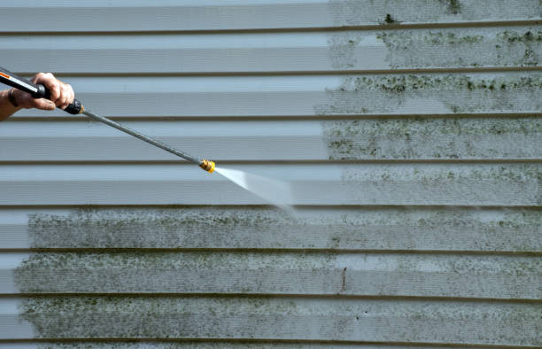 Best Attic Mold Removal  in Danbury, TX